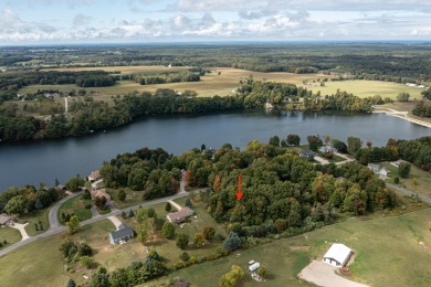 Hart Lake Lot For Sale in Hart Michigan