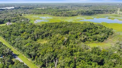 (private lake, pond, creek) Home For Sale in Inverness Florida