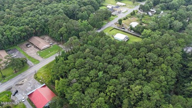 Waterfront Land for Sale - 10.33 Acres on Robinson Bayou! - photo 12