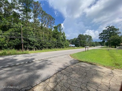 Waterfront Land for Sale - 10.33 Acres on Robinson Bayou! - photo 15