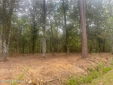 Waterfront Land for Sale - 10.33 Acres on Robinson Bayou! - photo 16