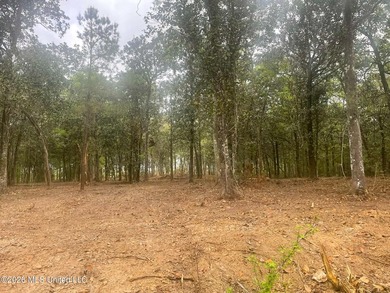 Waterfront Land for Sale - 10.33 Acres on Robinson Bayou! - photo 17