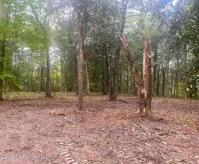 Waterfront Land for Sale - 10.33 Acres on Robinson Bayou! - photo 18