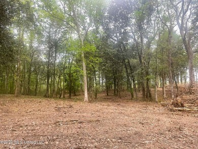 Waterfront Land for Sale - 10.33 Acres on Robinson Bayou! - photo 20