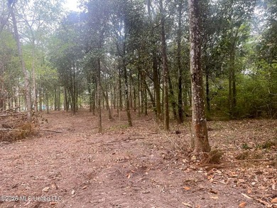Waterfront Land for Sale - 10.33 Acres on Robinson Bayou! - photo 21
