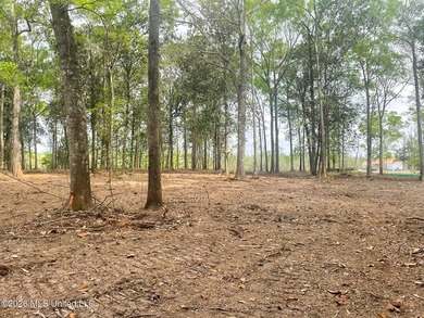 Waterfront Land for Sale - 10.33 Acres on Robinson Bayou! - photo 22