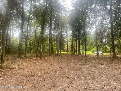 Waterfront Land for Sale - 10.33 Acres on Robinson Bayou! - photo 23