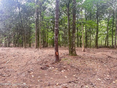 Waterfront Land for Sale - 10.33 Acres on Robinson Bayou! - photo 25