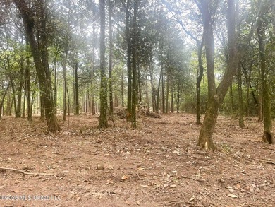 Waterfront Land for Sale - 10.33 Acres on Robinson Bayou! - photo 26