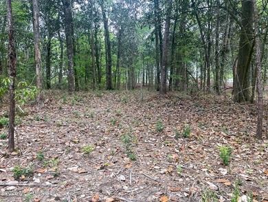 Waterfront Land for Sale - 10.33 Acres on Robinson Bayou! - photo 28
