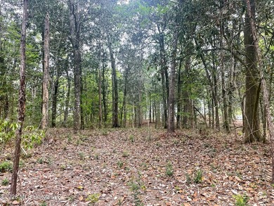 Waterfront Land for Sale - 10.33 Acres on Robinson Bayou! - photo 31