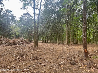 Waterfront Land for Sale - 10.33 Acres on Robinson Bayou! - photo 35