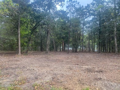 Waterfront Land for Sale - 10.33 Acres on Robinson Bayou! - photo 36