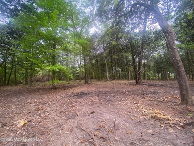 Waterfront Land for Sale - 10.33 Acres on Robinson Bayou! - photo 38