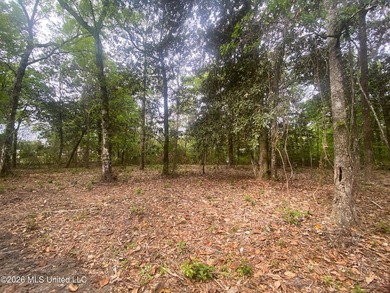 Waterfront Land for Sale - 10.33 Acres on Robinson Bayou! - photo 39
