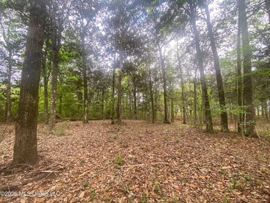 Waterfront Land for Sale - 10.33 Acres on Robinson Bayou! - photo 40