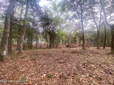 Waterfront Land for Sale - 10.33 Acres on Robinson Bayou! - photo 41