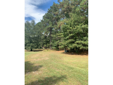 This Cabin Has THE LOCATION! SOLD - photo 4