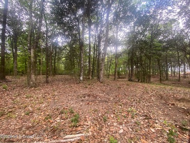 Waterfront Land for Sale - 10.33 Acres on Robinson Bayou! - photo 42