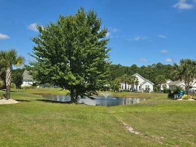 Tucked back from the street, this 2,368 square foot low country - photo 43