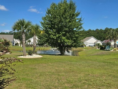 Tucked back from the street, this 2,368 square foot low country - photo 44