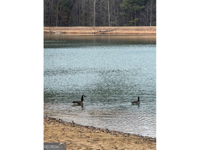 (private lake, pond, creek) Acreage For Sale in Ranger Georgia