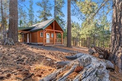 Green Valley Lake Home For Sale in Arrowbear California