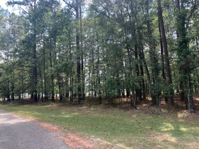 This Cabin Has THE LOCATION! SOLD - photo 2