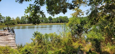 (private lake, pond, creek) Condo For Sale in  Florida