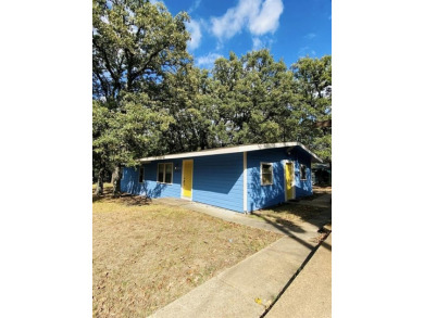 Lake Home For Sale in Wills Point, Texas