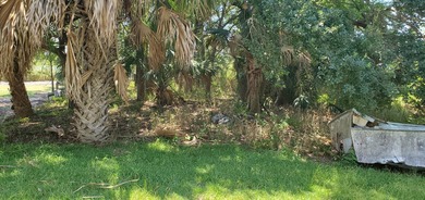 Prime Commercial and a Fantastic Opportunity to own a little - photo 5