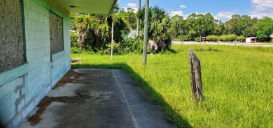Prime Commercial and a Fantastic Opportunity to own a little - photo 6