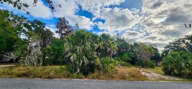Lake Dora Lot For Sale in Tavares Florida