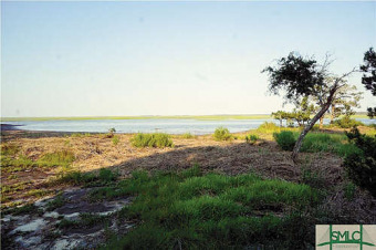 Lake Lot For Sale in Savannah, Georgia