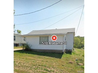 Mississippi River - Clark County Home For Sale in Louisiana Missouri