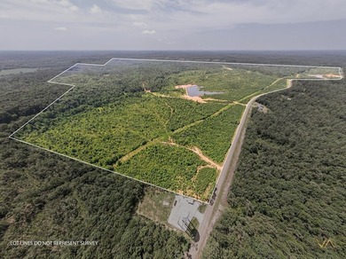 Additional listing photo 1