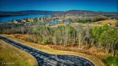 Watts Bar Lake Lot For Sale in Rockwood Tennessee