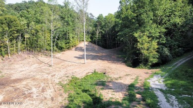 Lake Acreage For Sale in Andersonville, Tennessee