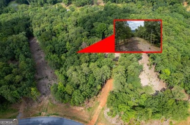 Lake Acreage For Sale in Talking Rock, Georgia