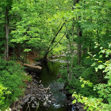 Lake Acreage For Sale in Limerick, Maine