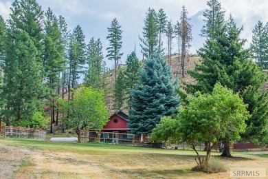 Lake Home For Sale in North Fork, Idaho