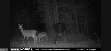 Welcome to 49+ acres on Jordan Road in eastern Harris County - photo 13