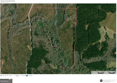 Welcome to 49+ acres on Jordan Road in eastern Harris County - photo 15