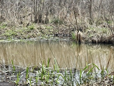 Welcome to 49+ acres on Jordan Road in eastern Harris County - photo 16