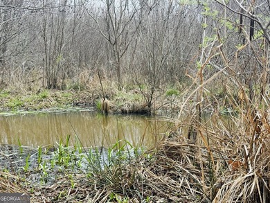 Welcome to 49+ acres on Jordan Road in eastern Harris County - photo 17