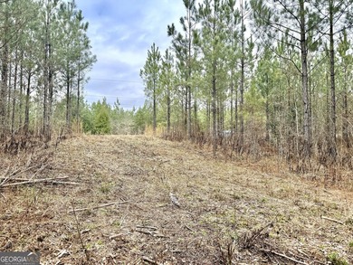 Welcome to 49+ acres on Jordan Road in eastern Harris County - photo 18