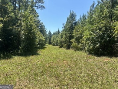Welcome to 49+ acres on Jordan Road in eastern Harris County - photo 19