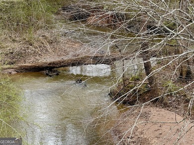 Welcome to 49+ acres on Jordan Road in eastern Harris County - photo 20