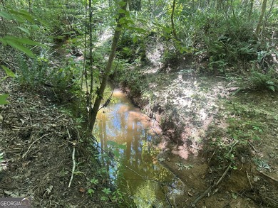 Welcome to 49+ acres on Jordan Road in eastern Harris County - photo 21