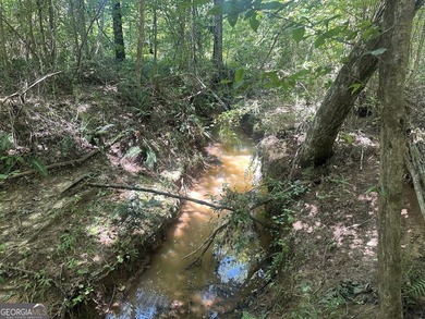 Welcome to 49+ acres on Jordan Road in eastern Harris County - photo 22